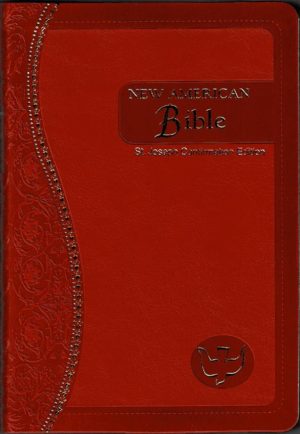Bibles for Confirmation in English